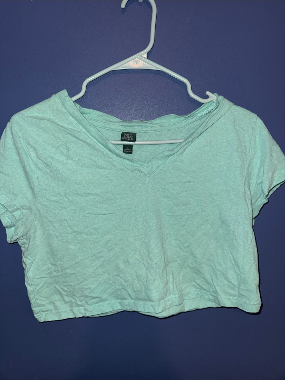 Wild Fable. Light Mint V-Neck Crop Tee